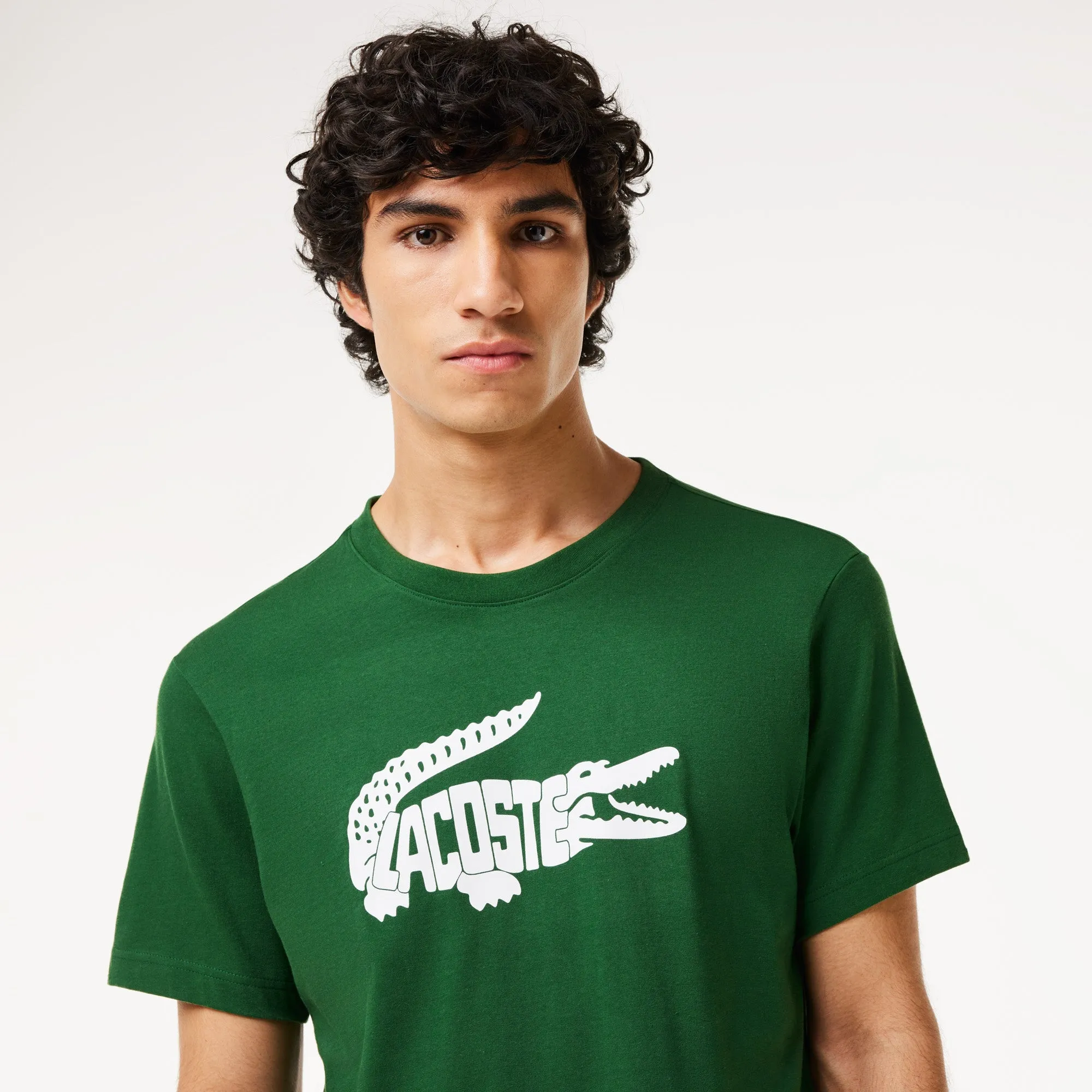 Camiseta LACOSTE - TH8937-00 291